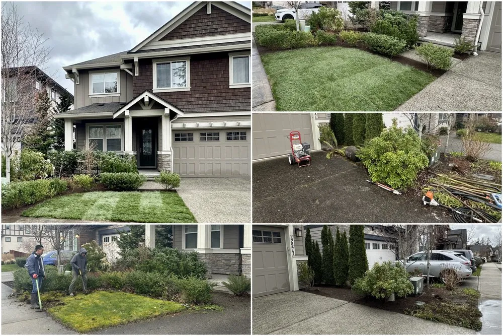 Reliable landscape installation experts serving Kent, WA - Vital Landscapes