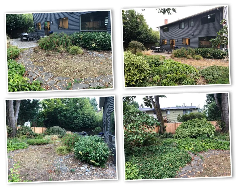 Trusted lawn mowing service experts serving Kent, WA - Vital Landscapes