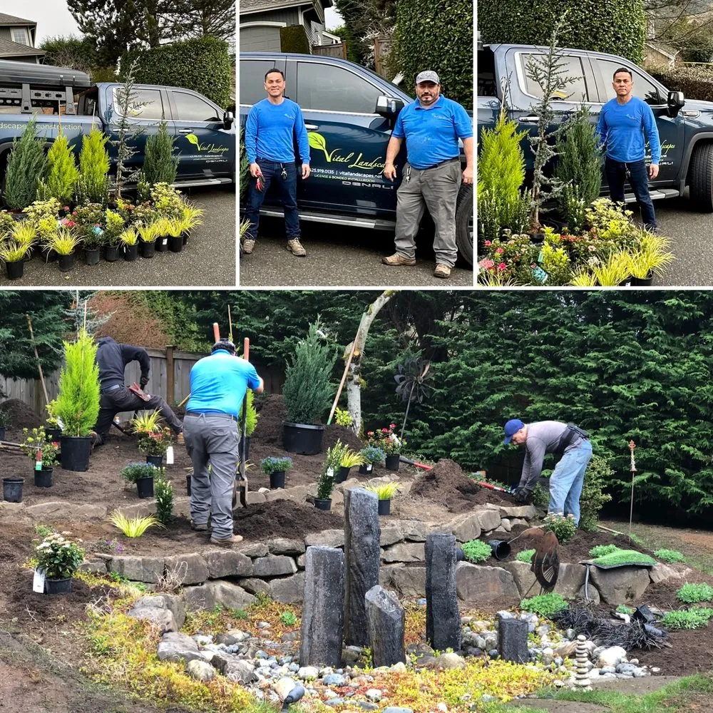 Reliable landscape installation in Kent, WA - Vital Landscapes
