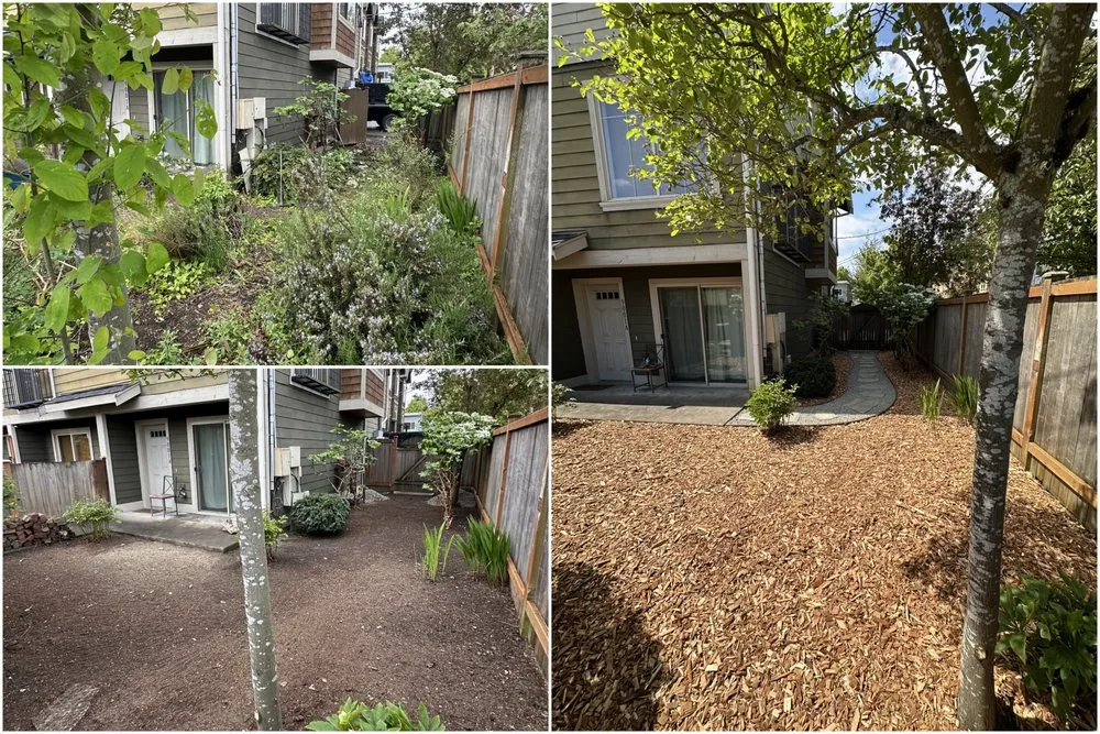 Professional residential landscaping for beautiful yards across Kent, WA - Vital Landscapes