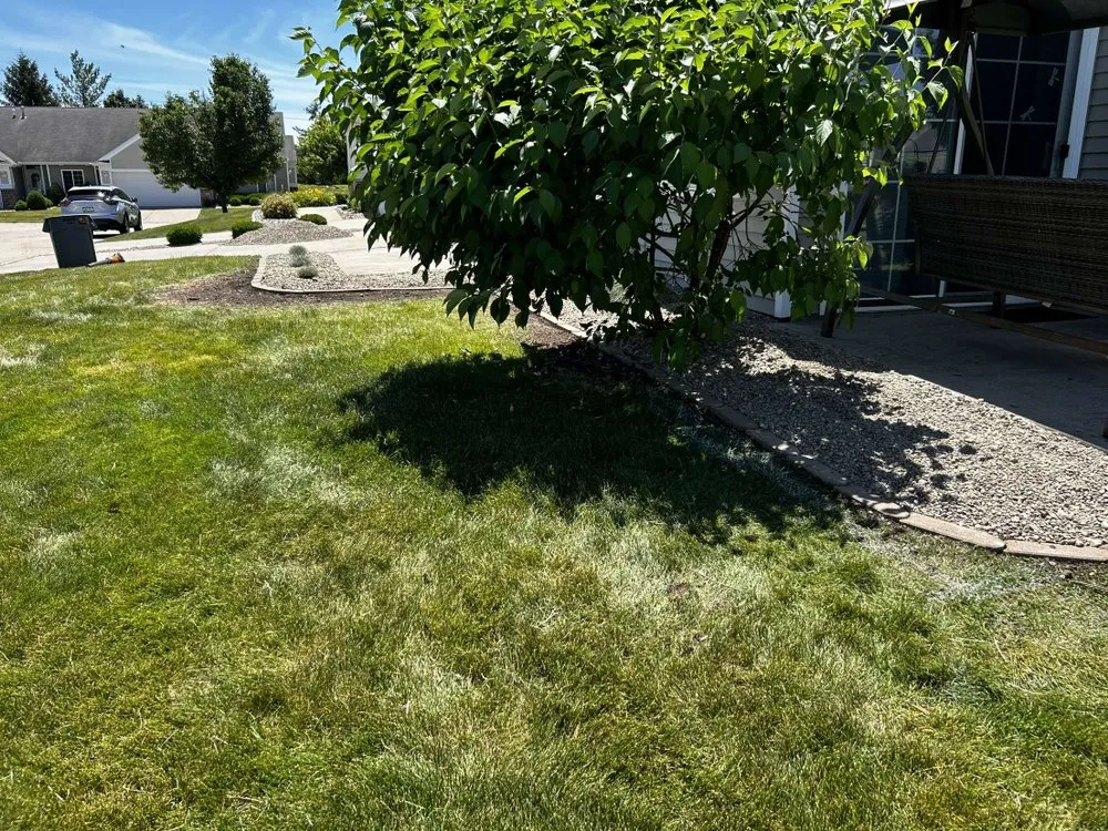 Trusted yard cleanup service for outdoor upgrades across Ankeny, IA - Vital View Services