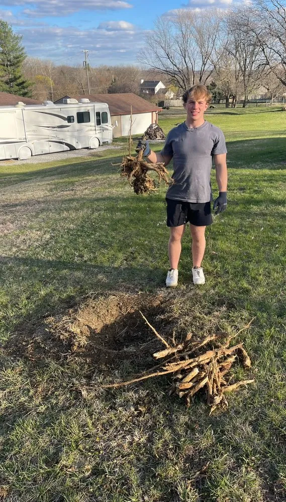 Professional landscape installation near you across Ankeny, IA - Vital View Services