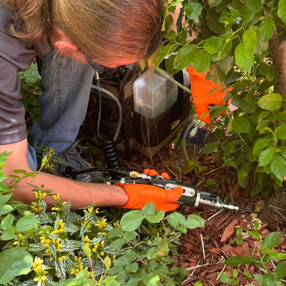 Reliable outdoor landscaping in Arvada, CO - Vitali-Tree