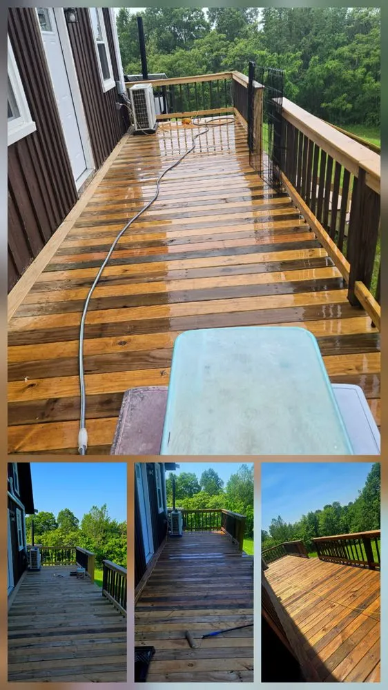 Expert yard maintenance experts serving Marietta, OH - Vitality Services