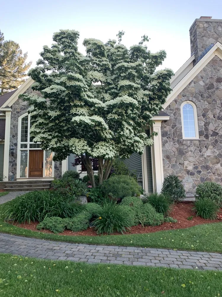 Trusted yard maintenance for outdoor upgrades across Ashland, MA - Vitamin B SGF