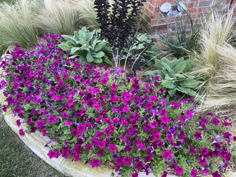 Custom landscaping services for outdoor upgrades in Crowley, TX by Vitex Services