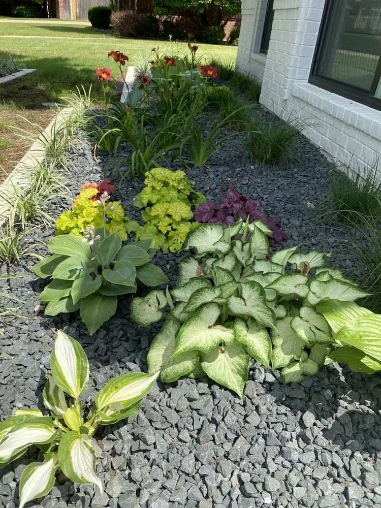 Affordable residential landscaping near you across Crowley, TX - Vitex Services