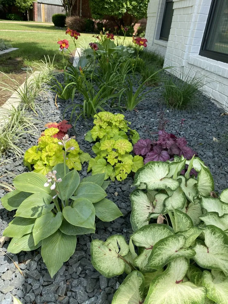 Expert yard cleanup service experts serving Crowley, TX - Vitex Services