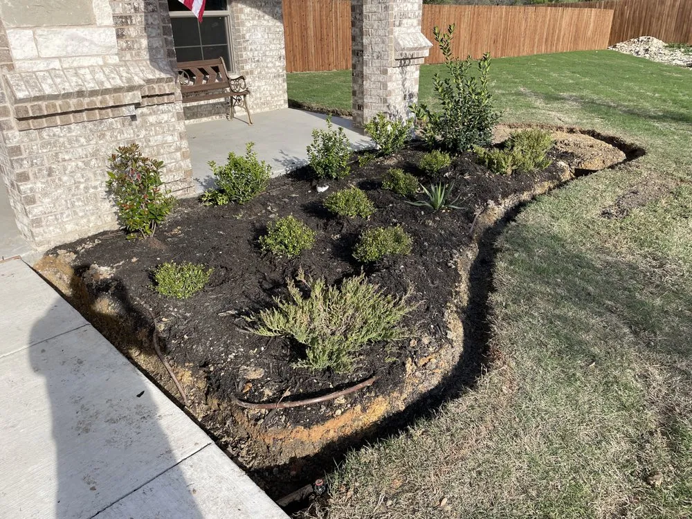 Reliable yard cleanup service in Crowley, TX by Vitex Services