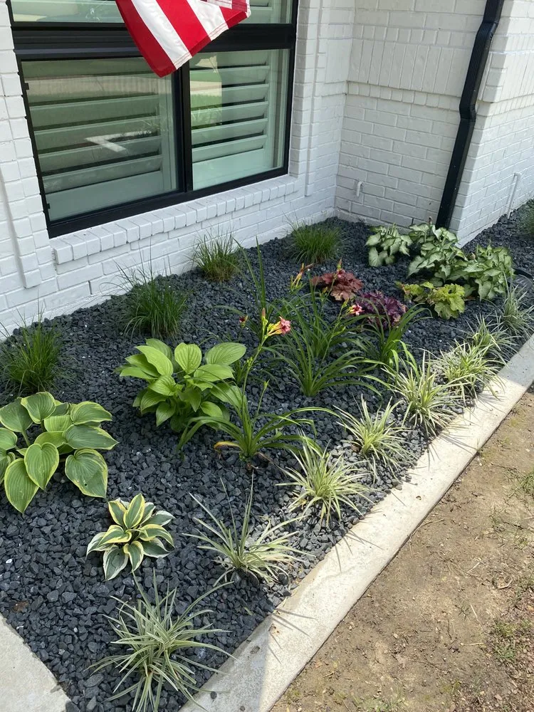 Trusted lawn care service in Crowley, TX - Vitex Services