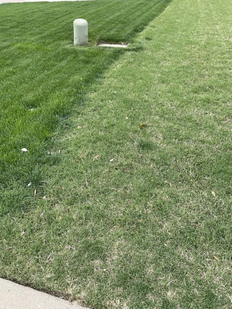 Expert lawn mowing service in Crowley, TX by Vitex Services