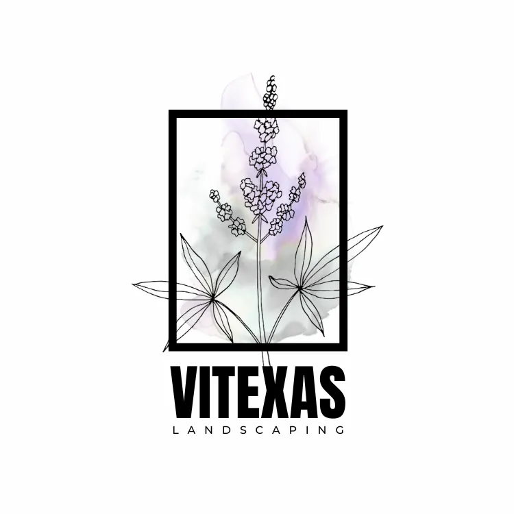 Local landscape design in Belton, TX by Vitexas Landscaping