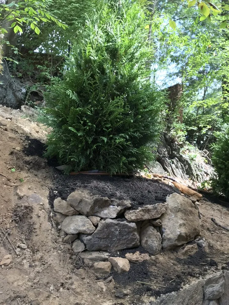 Reliable lawn mowing service for beautiful yards in New Rochelle, NY by Vito Portanova Landscaping