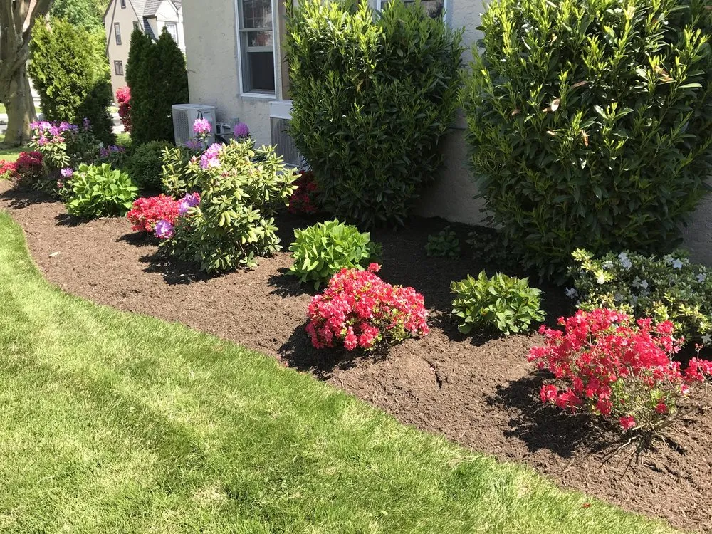 Reliable yard cleanup service in New Rochelle, NY by Vito Portanova Landscaping