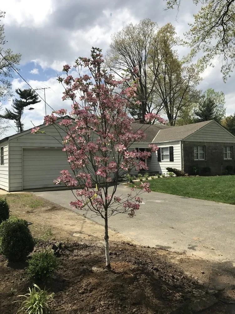 Affordable landscape installation in New Rochelle, NY - Vito Portanova Landscaping