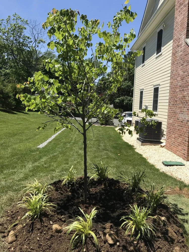 Local outdoor landscaping in New Rochelle, NY - Vito Portanova Landscaping