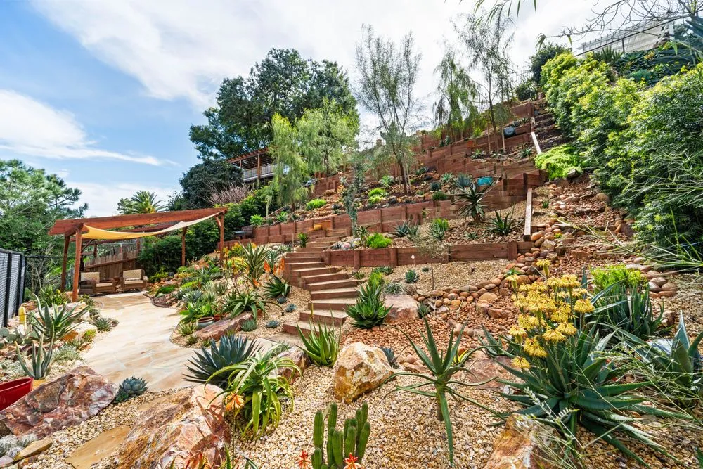 Top-rated yard cleanup service experts serving Calabasas, CA - Vitoli Landscape Design