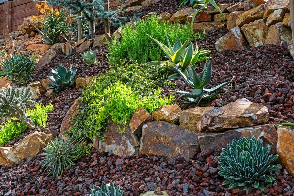 Expert lawn mowing service in Calabasas, CA - Vitoli Landscape Design