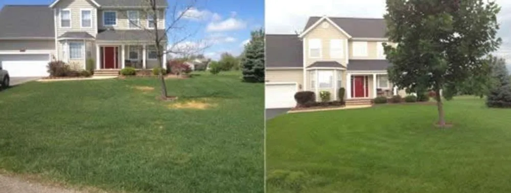 Expert garden landscaping for outdoor upgrades in Rye Brook, NY by Vitullo Landscaping