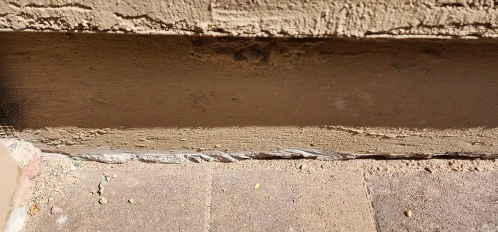 Trusted yard cleanup service near you in Phoenix, AZ by Viva Landscape & Design