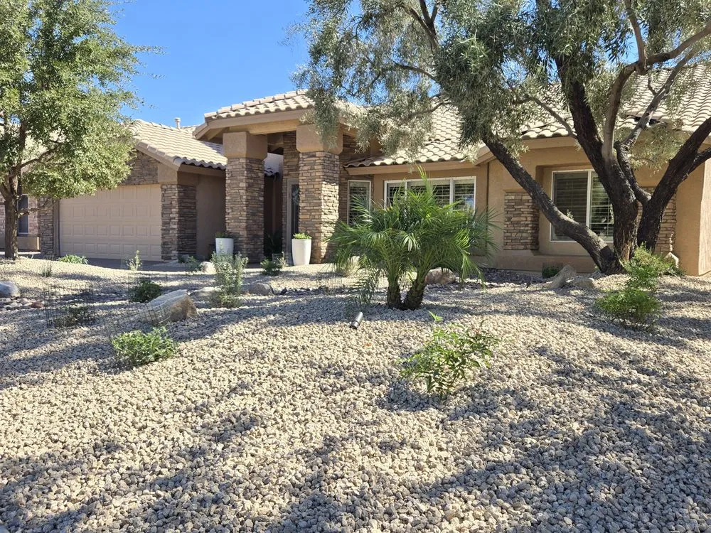 Reliable yard maintenance experts serving Phoenix, AZ - Viva Landscape & Design