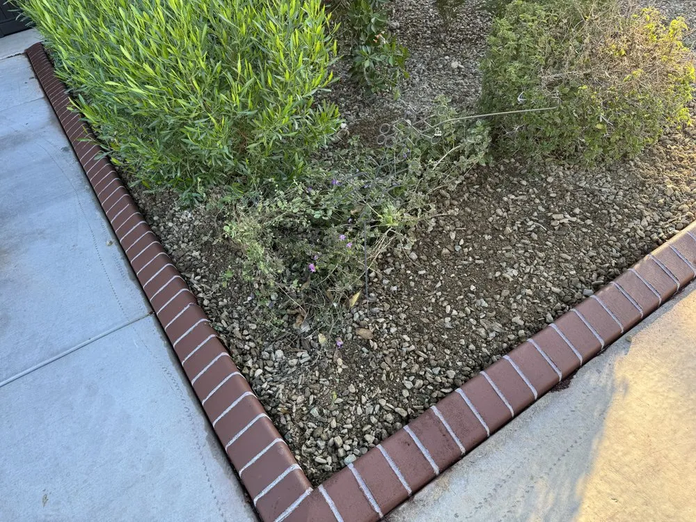Affordable yard maintenance experts serving Phoenix, AZ - Viva Landscape & Design