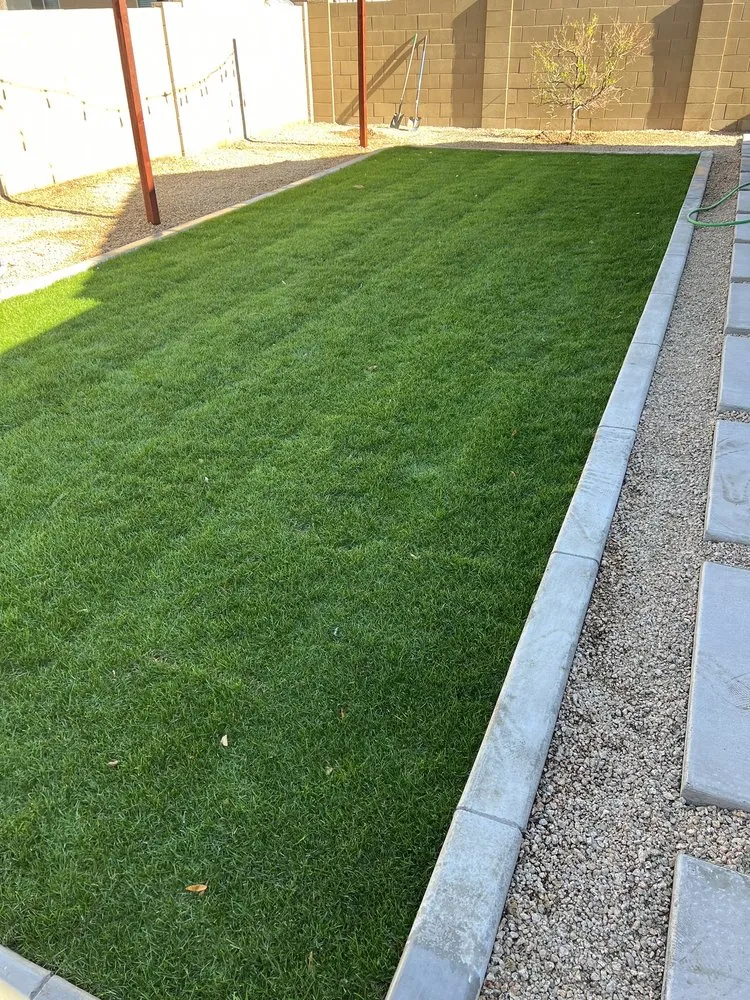 Reliable lawn care service in Phoenix, AZ - Viva Landscape & Design