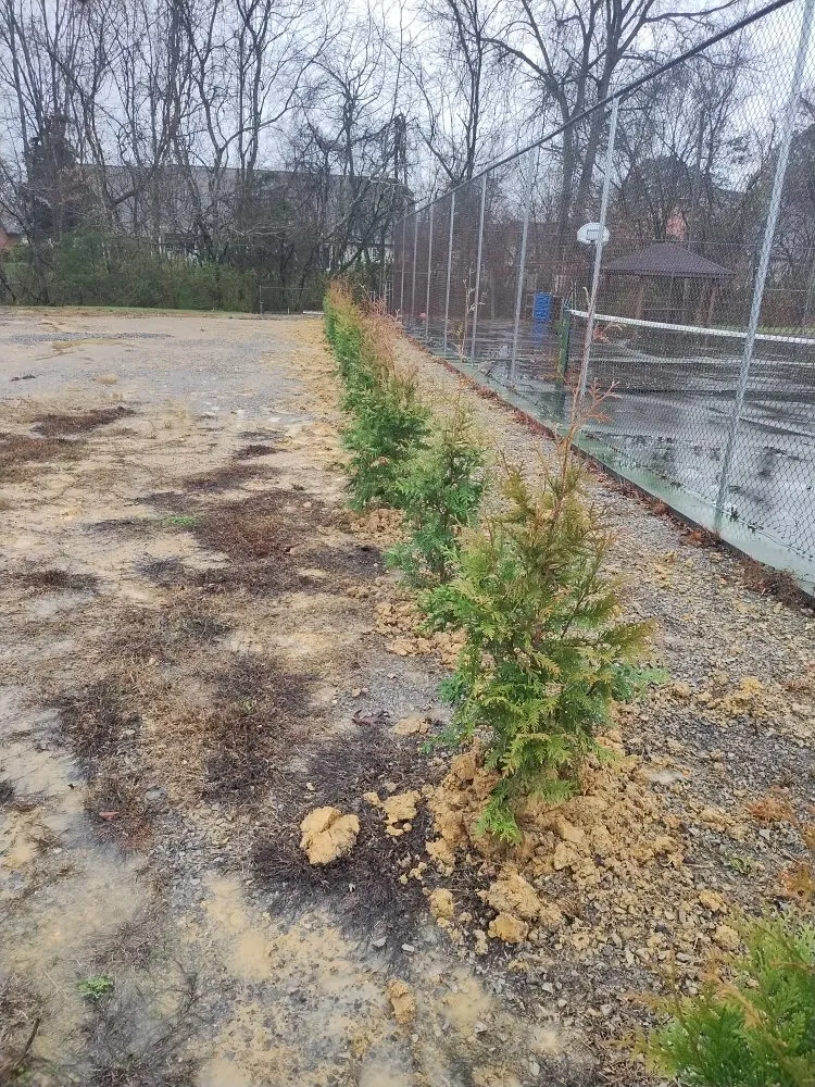 Trusted landscape design in Morristown, TN by vivanco plants