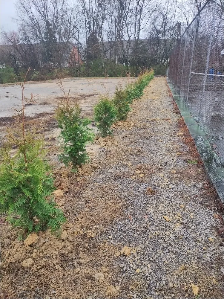 Trusted landscaping services in Morristown, TN by vivanco plants