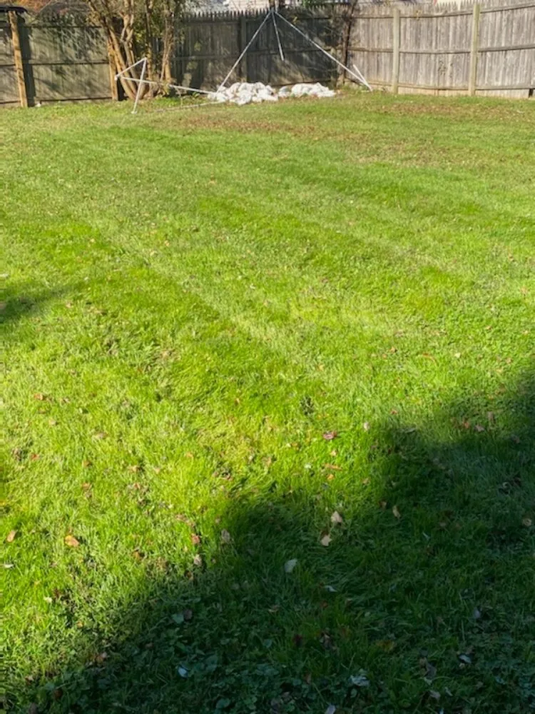 Custom yard maintenance in Newark, DE - Vivar Lawn Care & Landscaping Services
