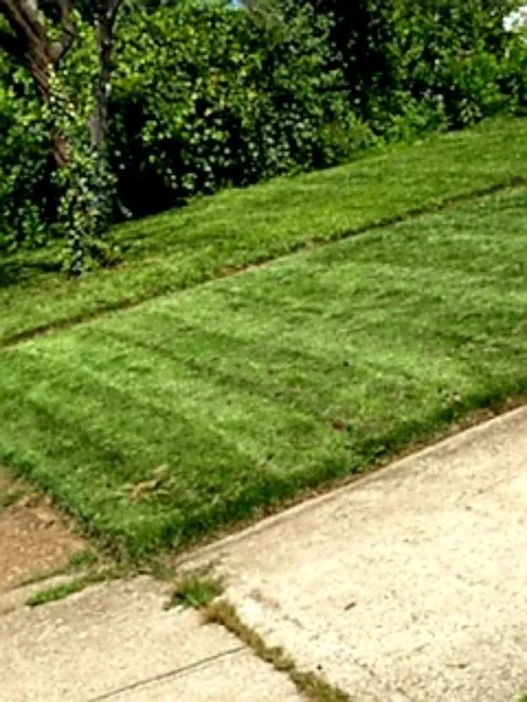 Affordable outdoor landscaping in Newark, DE by Vivar Lawn Care & Landscaping Services
