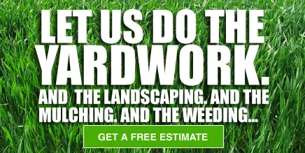 Vivar Lawn Care & Landscaping Services Logo
