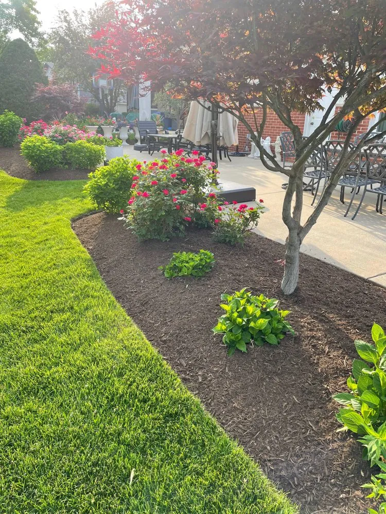 Custom yard cleanup service in Des Plaines, IL - Vivas Landscaping
