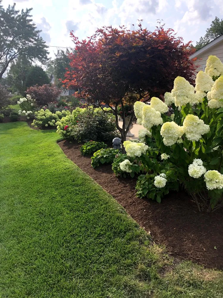 Professional yard cleanup service for residential properties across Des Plaines, IL - Vivas Landscaping