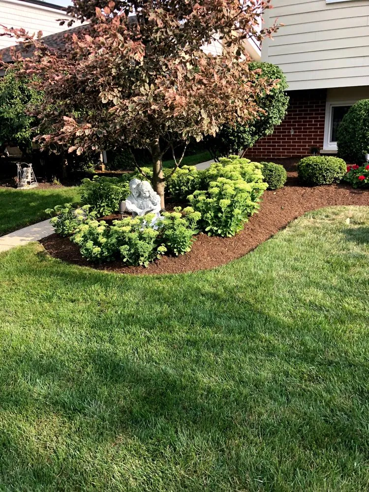 Affordable outdoor landscaping in Des Plaines, IL - Vivas Landscaping