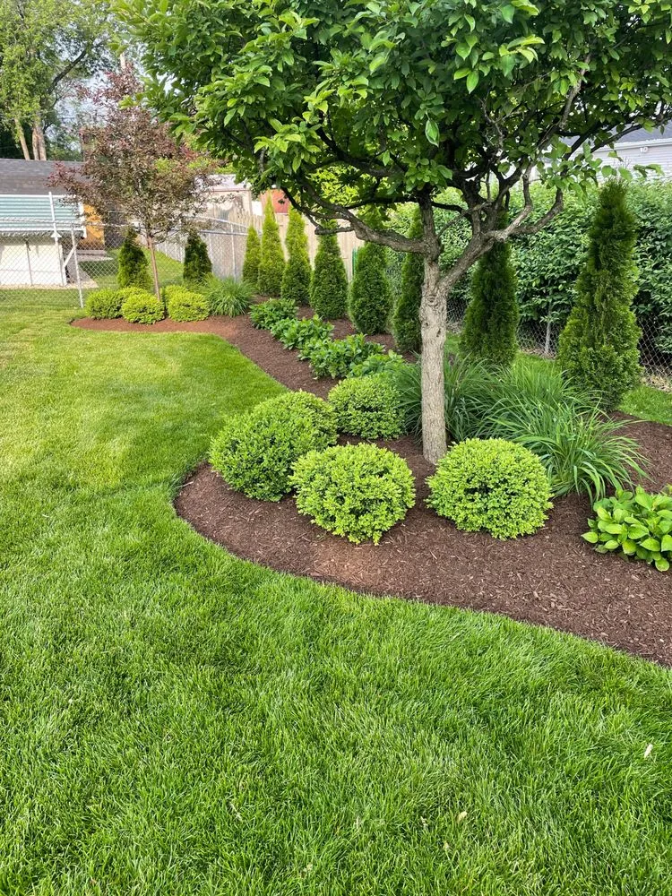 Expert yard maintenance experts serving Des Plaines, IL - Vivas Landscaping