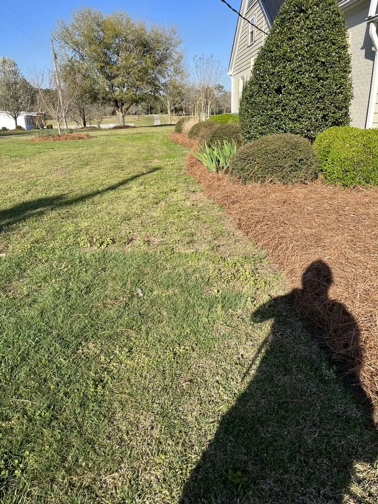 Reliable lawn care service for residential properties in Burgaw, NC by Vivat Sol