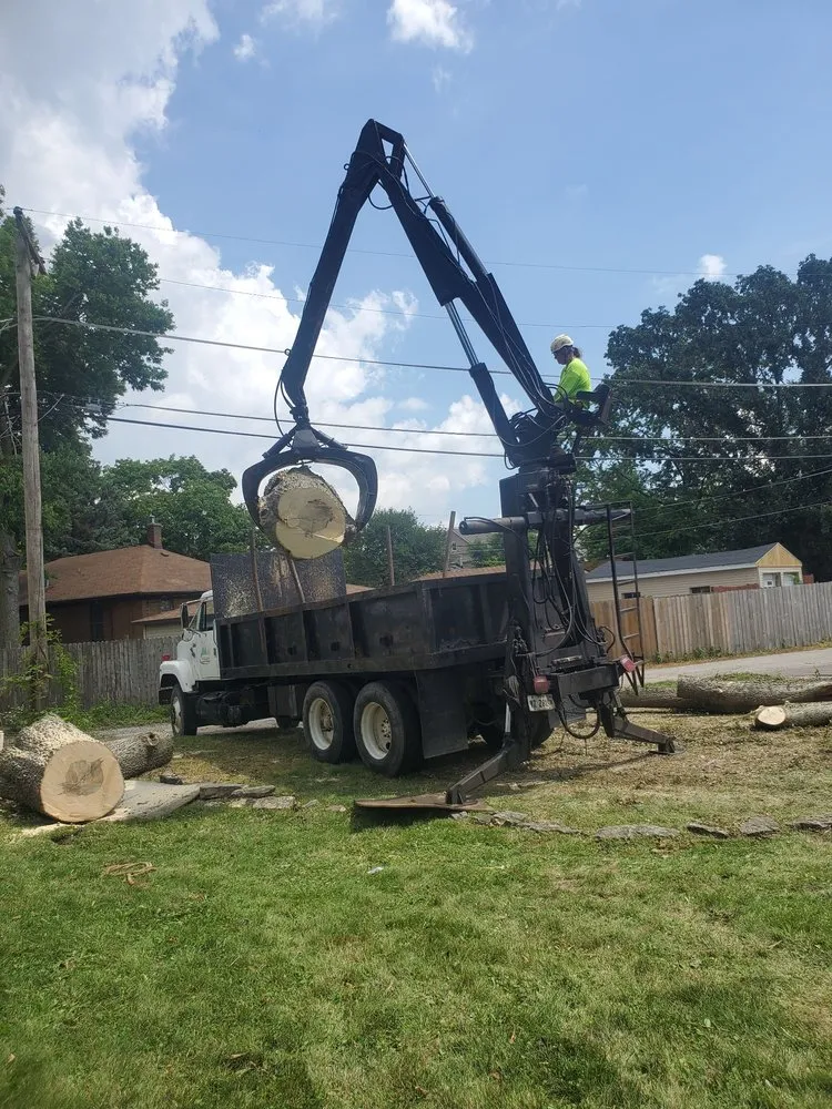 Top-rated landscaping services in Lemont, IL by Viverito Tree Experts