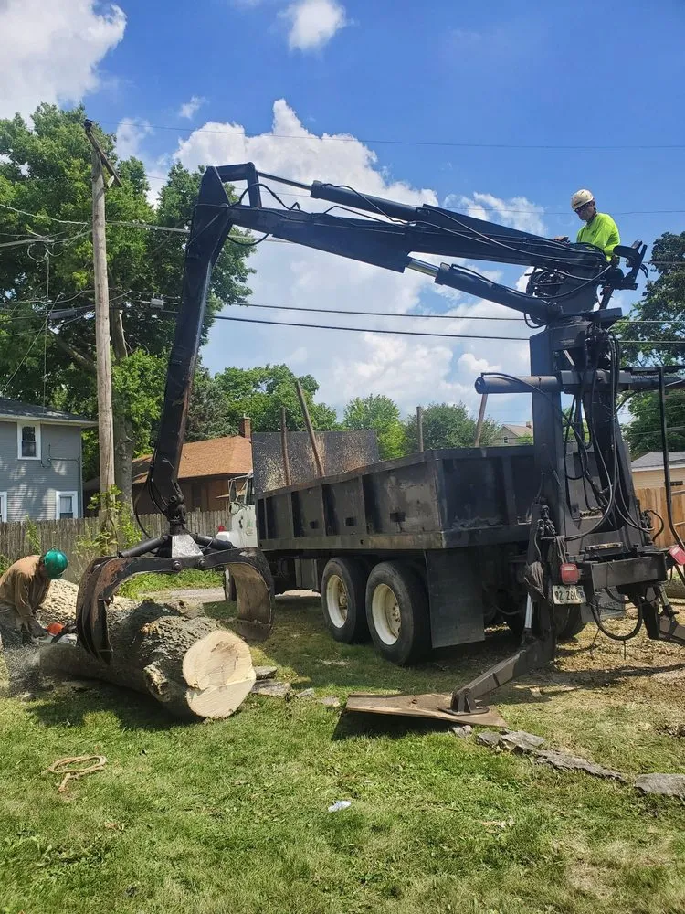 Expert outdoor landscaping near you in Lemont, IL by Viverito Tree Experts