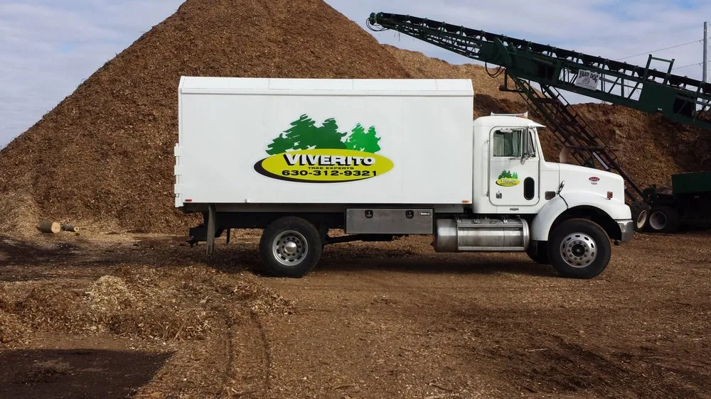 Top-rated yard cleanup service in Lemont, IL by Viverito Tree Experts