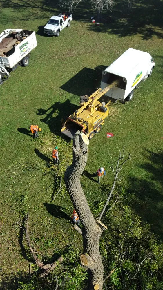 Affordable lawn care service for residential properties across Lemont, IL - Viverito Tree Experts