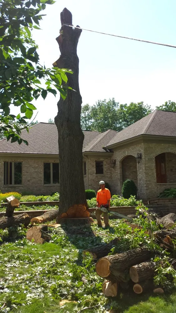 Top-rated lawn care service in Lemont, IL - Viverito Tree Experts