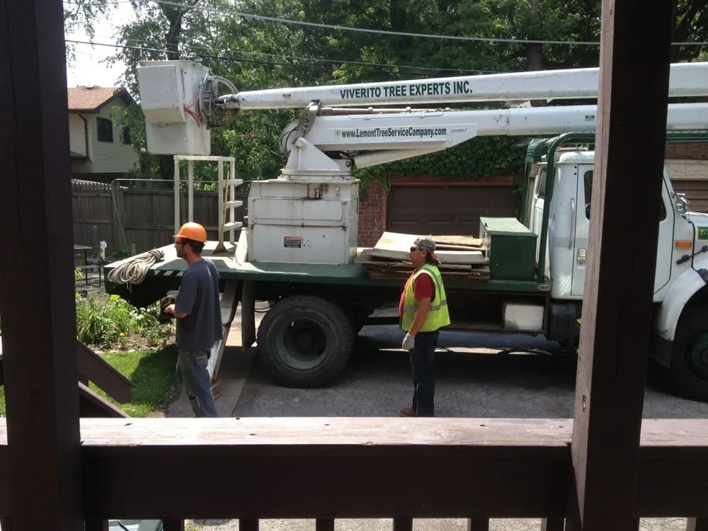 Custom lawn mowing service for year-round maintenance in Lemont, IL by Viverito Tree Experts