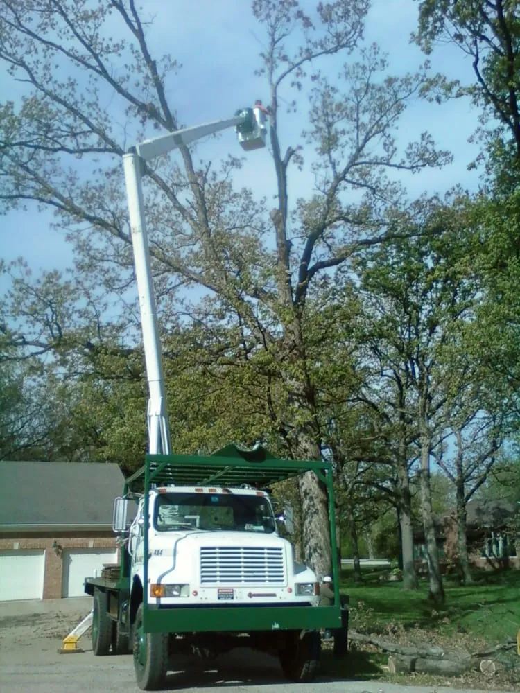 Trusted lawn mowing service in Lemont, IL by Viverito Tree Experts