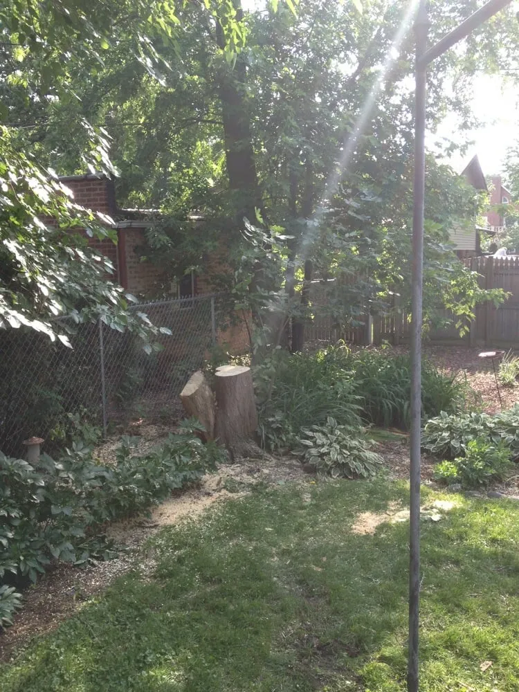 Custom residential landscaping with custom design in Lemont, IL by Viverito Tree Experts