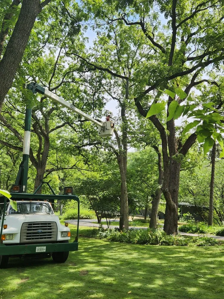 Reliable landscape design experts serving Lemont, IL - Viverito Tree Experts