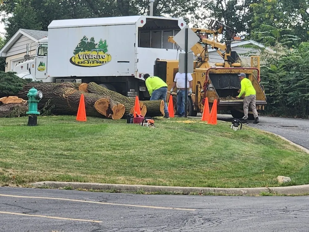 Affordable lawn care service for homes across Lemont, IL - Viverito Tree Experts