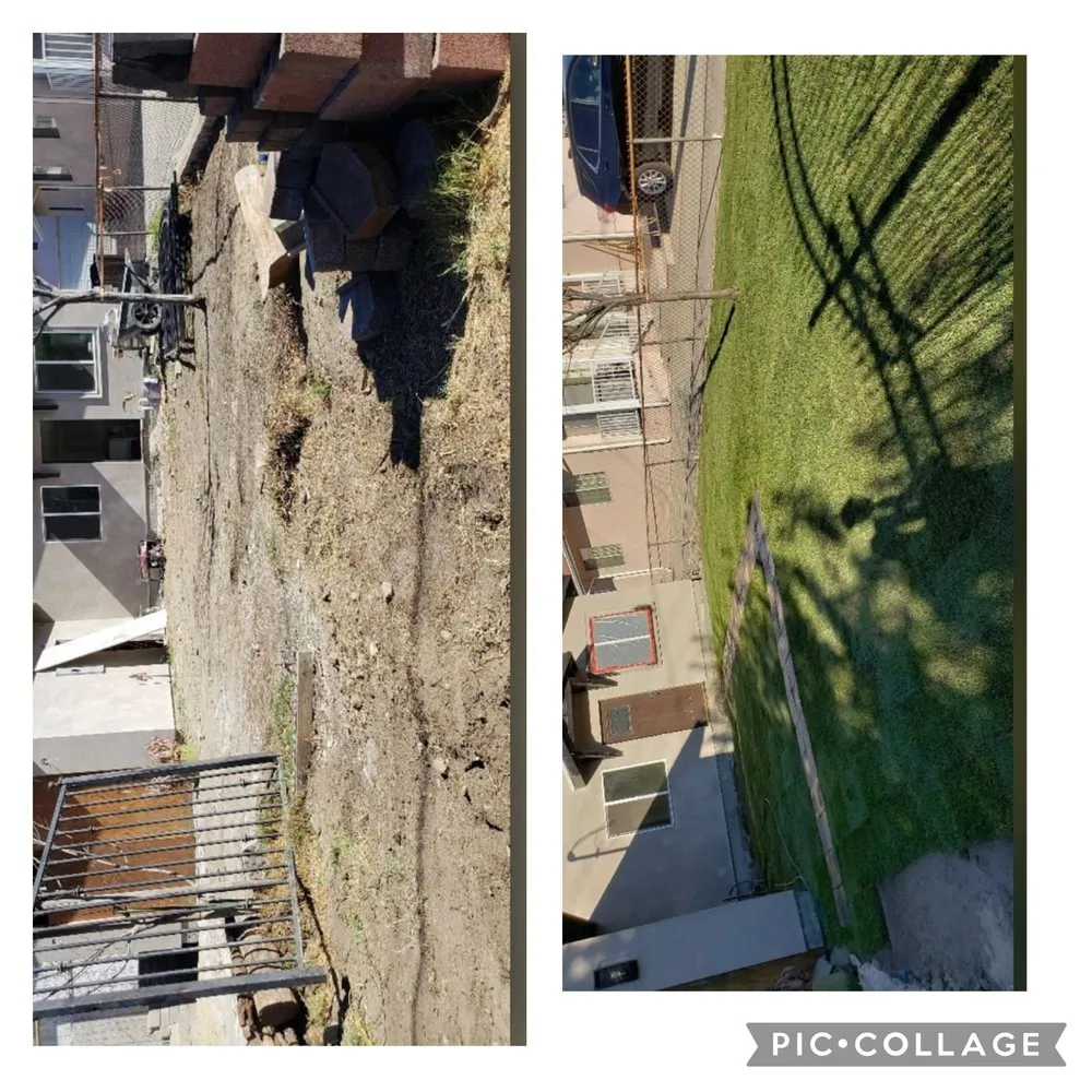 Professional outdoor landscaping in Ventura, CA - Viveros Landscaping