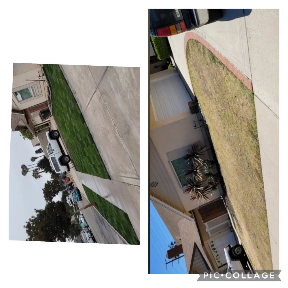 Reliable outdoor landscaping in Ventura, CA by Viveros Landscaping