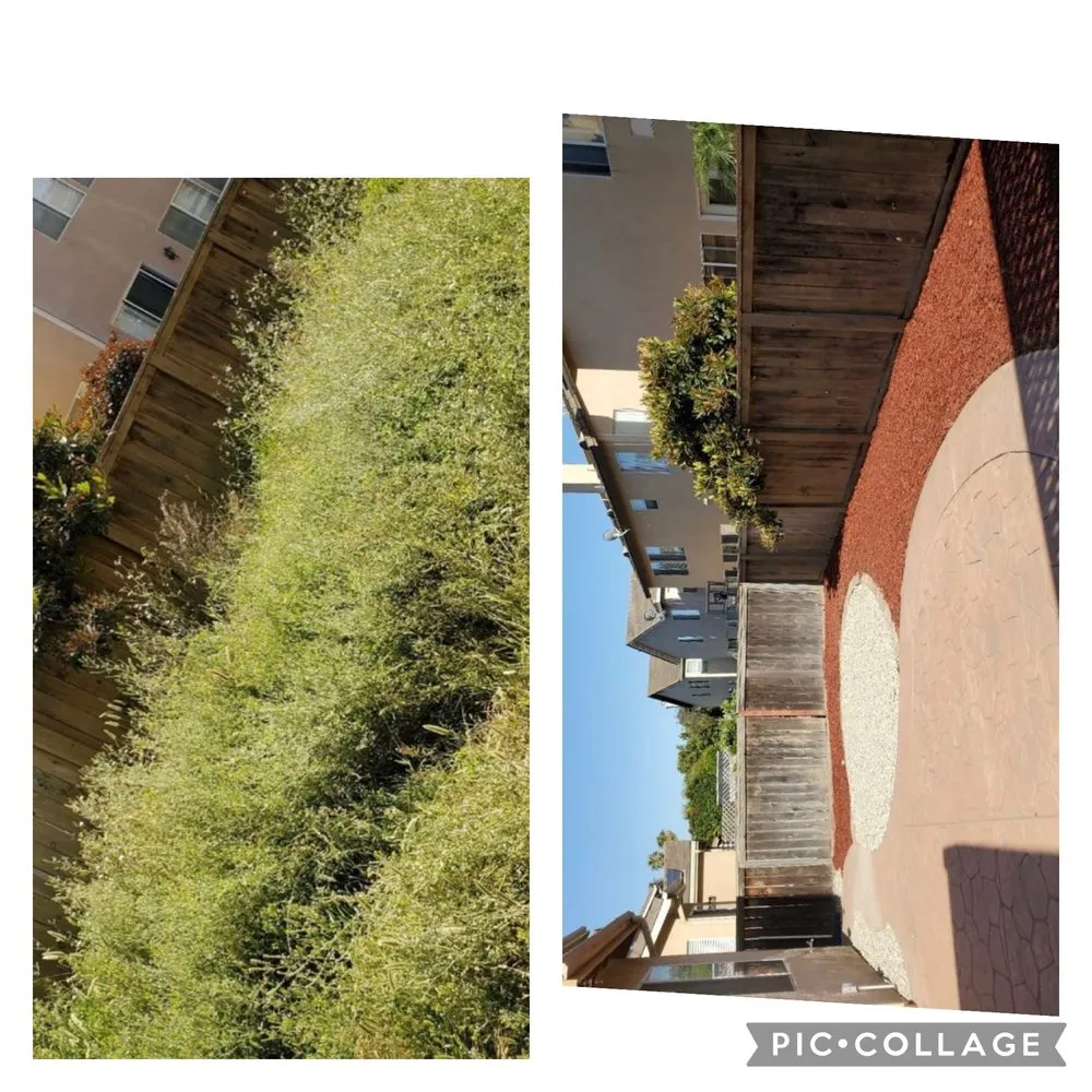 Expert outdoor landscaping near you in Ventura, CA by Viveros Landscaping